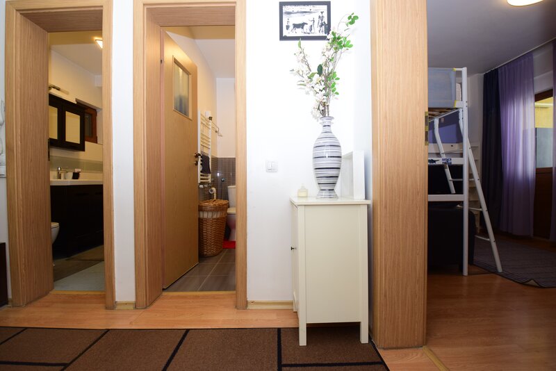 Fetesti, Theodor Pallady, 3 camere, bloc 2008, etaj 1/3, 2 parcari si boxa